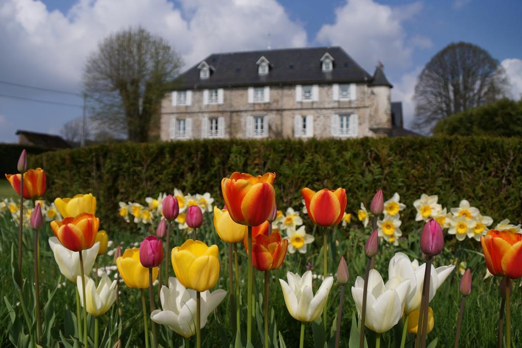 Chateau De Savennes - Caveau De Sabrage Esterno foto